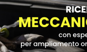 dario vercelli opel cerca meccanico