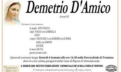 demetrio damico