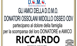 di lonardo DOMO