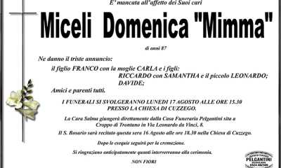 domenics man MICELI