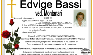 edvige BASSI 