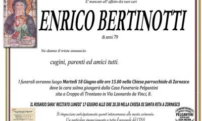 enrico bertinotti