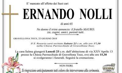 ernando nolli