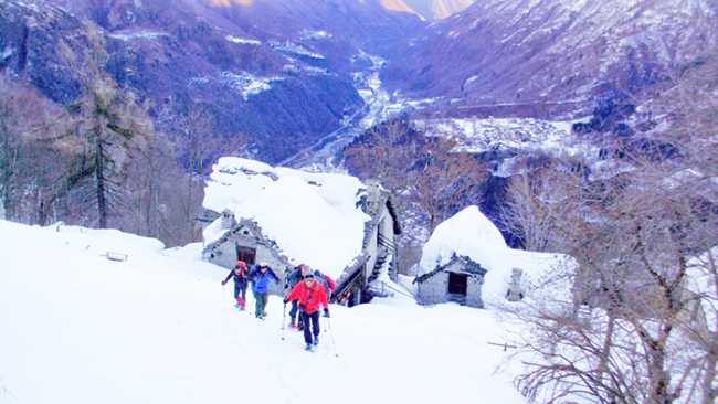 fabbri pizzetto inverno