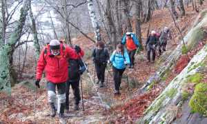 giovera fabbri bosco sentiero gita escursione