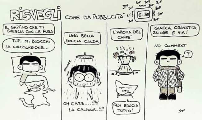 la vignetta di sapo IMG 0437