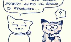 la vignetta di sapo IMG 0440