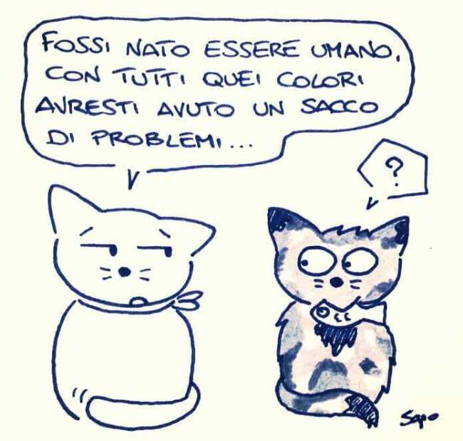 la vignetta di sapo IMG 0440