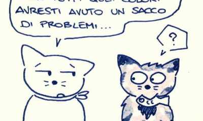 la vignetta di sapo IMG 0440