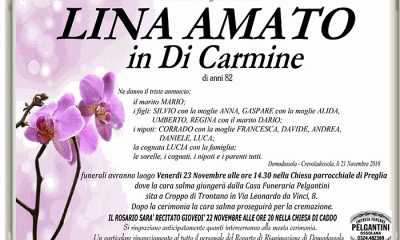 lina amato