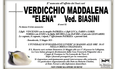 man VERDICCHIO 