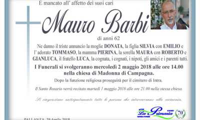 maro barbi