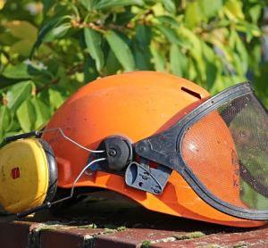 Le offerte di lavoro dal Centro per l’Impiego di Omegna