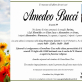 Amedeo Bucci