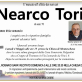 Nearco Tori