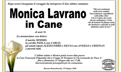 monica LAVRANO