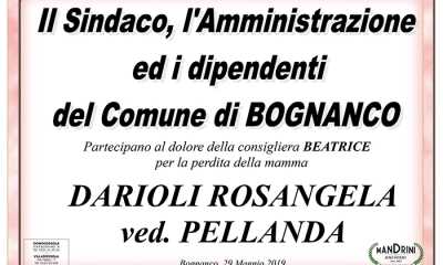partecipazione darioli pellanda