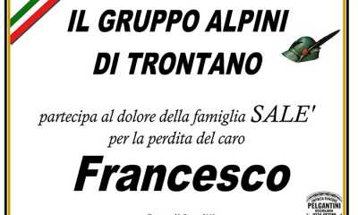 partecipazione g alpini