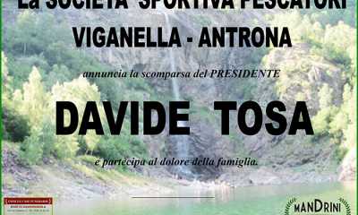partecipazione tosa