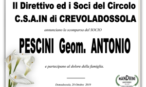 partecipazioni soci csain pescinipsd