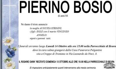 pierinobosio