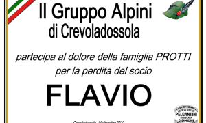 protti partecipazioni ALPINI CREVOLADOSSOLA