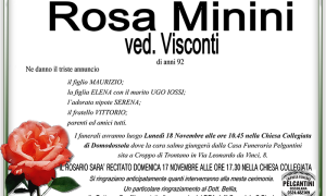 rosa MININI