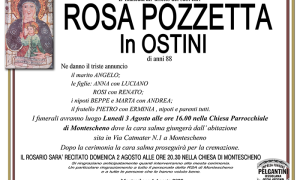 rosa pozzetta ved