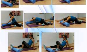 scheda allenamento roller