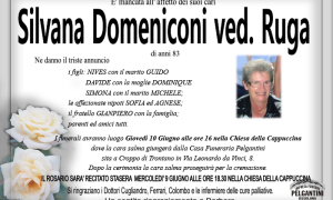silvana DOMENICONI
