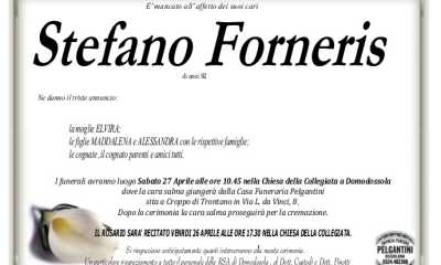 stefano forneris