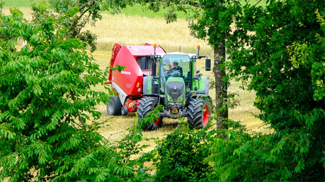 trattore albero campo