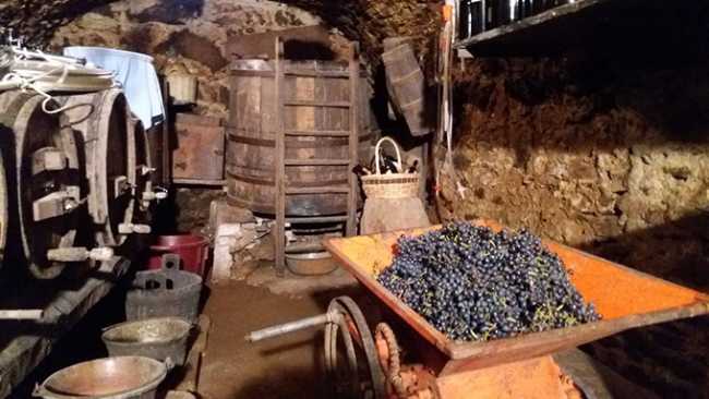 vendemmia ossola 2017