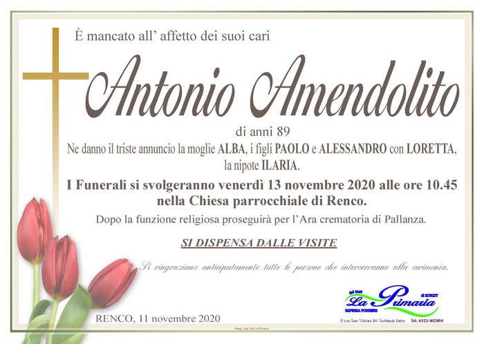 antonio amdenolito