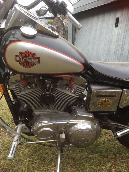 harley