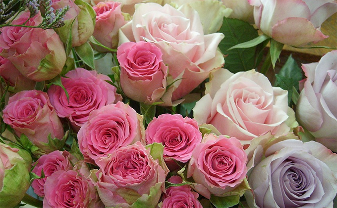 fiori