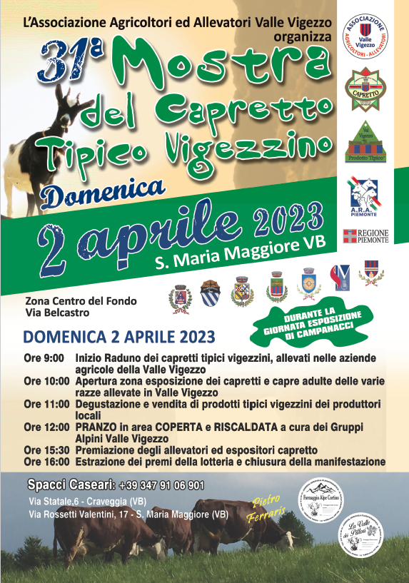 Schermata 2023 03 20 alle 09.17.43