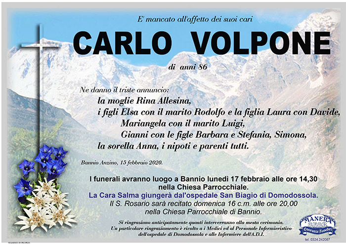 Ann Volpone Carlo
