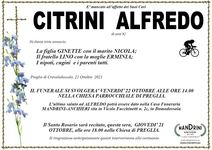 Citrini Alfredo