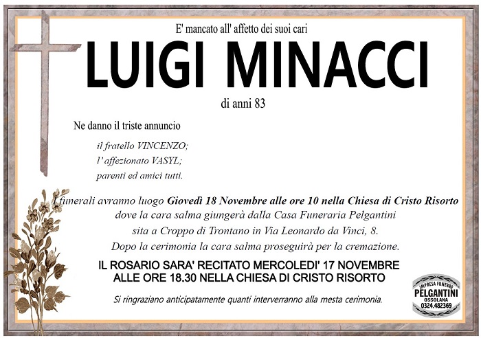 Luigi Minacci
