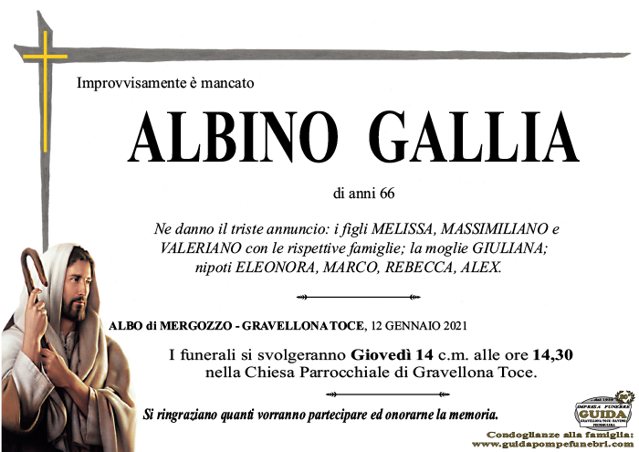 albino GALLIA