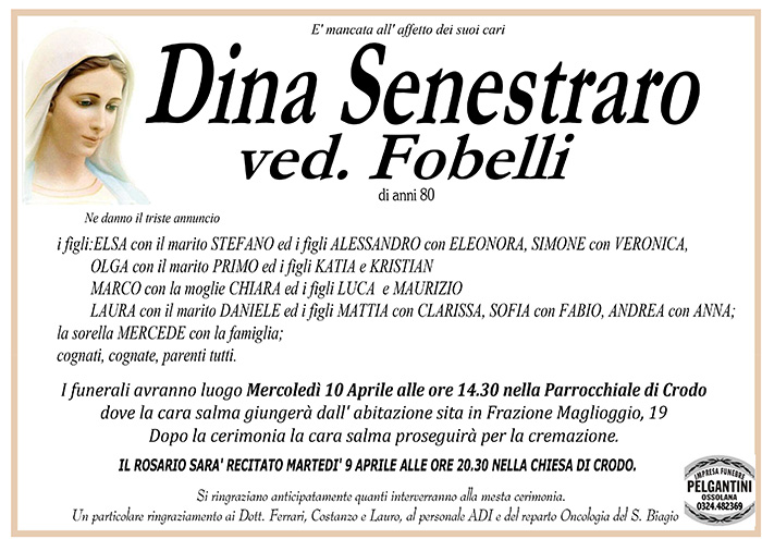 dina senestraro