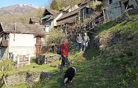 fabbri bognanco 2