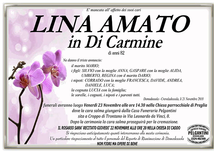 lina amato