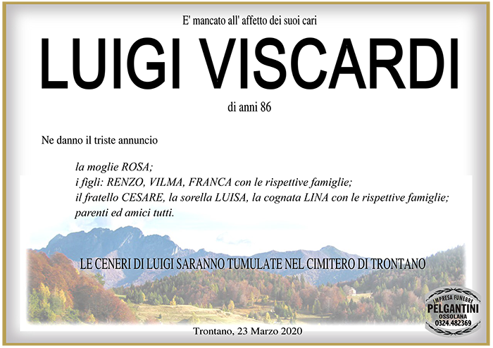 luigi VISCARDI1