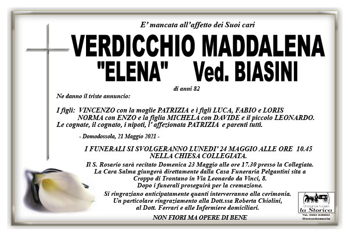 man VERDICCHIO 