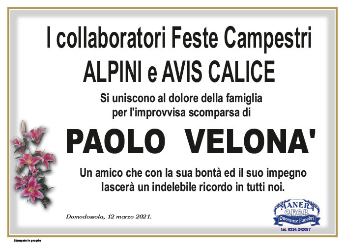 partecipazione FESTE CAMPESTRI ALPINI AVIS