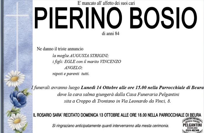 pierinobosio