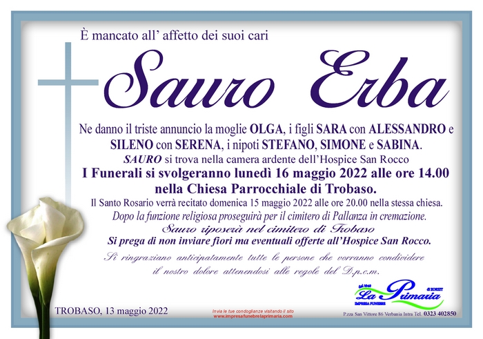 sauro erba