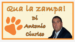 Schermata 2020 09 13 alle 11.13.46